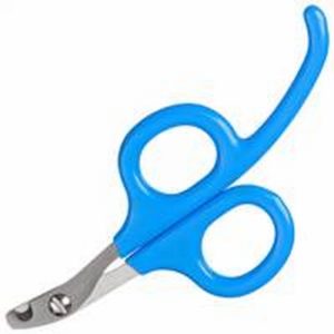 GP Nagelknipper puppy