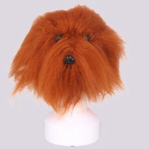 ModelDog Kniphoofd Mr. Jiang