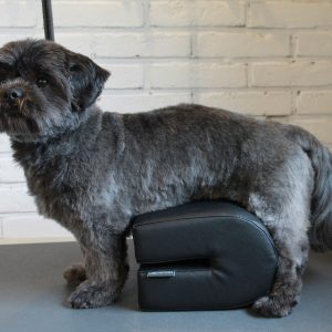 Blijfuh Staan Kussen